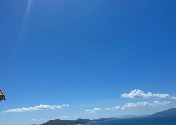 Ansi Paradiso *